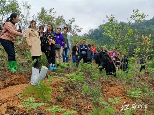 全国最美林草科技推广员刘蕾把科技论文写在赣鄱大地上