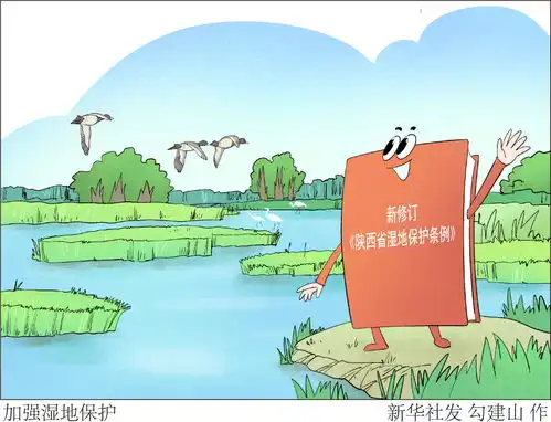 图表漫画加强湿地保护