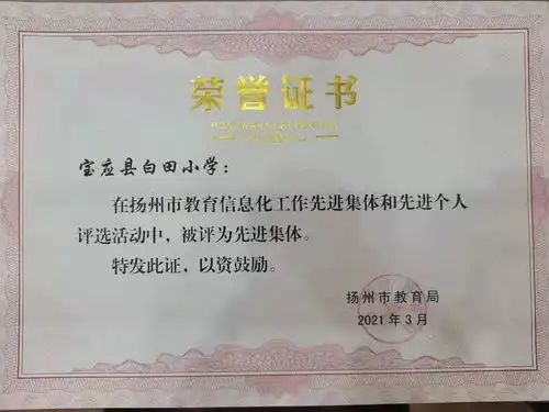 宝应县白田小学喜获扬州市教育信息化工作先进集体奖牌
