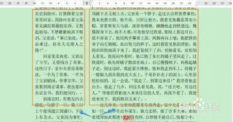 word2013如何给文字内容分栏