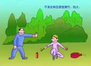 春节将至,森林防火,你应该这么做