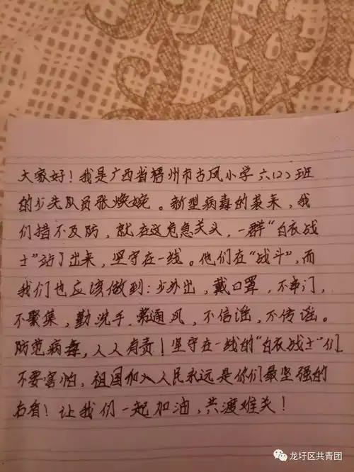 防控疫情致敬先锋龙圩区少先队员在行动手抄报篇一