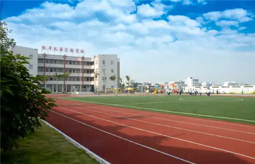 人大教授在大学里,我看到了中小学残酷竞争的后果
