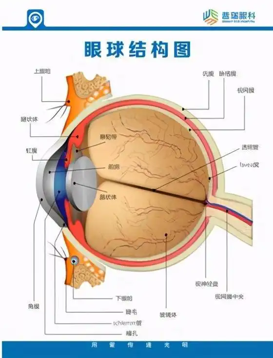湖北垄上频道刘红山教授话题专访关注眼健康远离角膜病