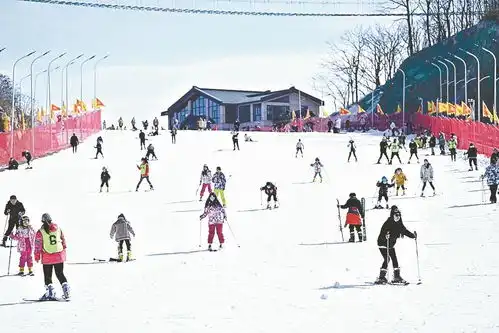 保康开启滑雪季