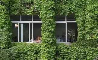 法治课10岁小学生好心帮忙致同学摔残,法律怎么说