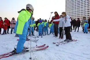 廊坊市大众冰雪进校园正式开幕