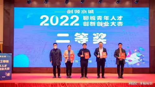 创领水城2022聊城青年人才创新创业大赛圆满落幕
