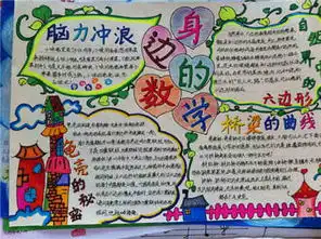 小学生数学手抄报双胞胎的秘密