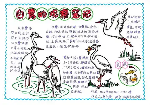 临朐县生物多样性参赛临朐弥河白鹭观察笔记张洪壹临朐县第一实验小学张玉奎