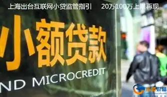 上海市首次对互联网小贷出台专门监管指引