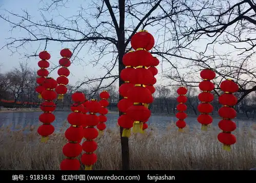 枯树上的红灯笼高清图片下载红动网