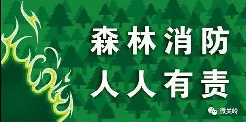怎样预防森林火灾