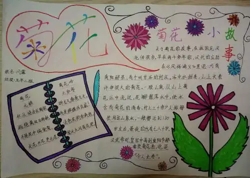 菊花手抄报图片3张
