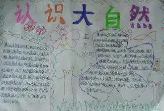 大自然手抄报