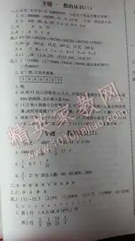 2015年小升初全能卷数学答案