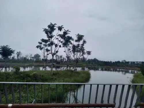 又增一新打卡地,大兴安南湿地环保主题公园十一开园