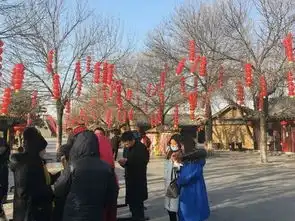 大红灯笼高高挂你要的年味就在清明上河园