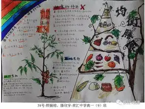 膳食均衡营养,健康步步为营看中小学生手抄报大比拼