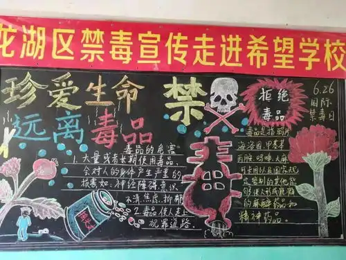 开学第一课禁毒我先行龙湖区开展健康人生绿色无毒春季开学第一课禁毒宣传活动
