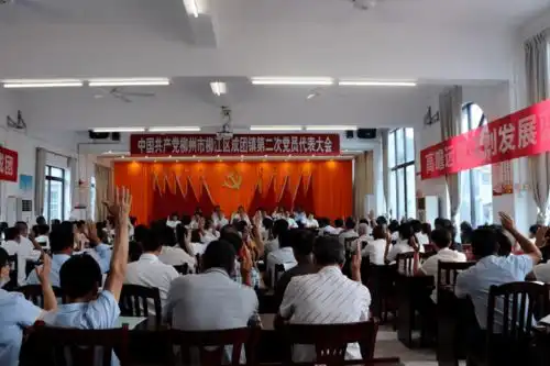 中国共产党柳州市柳江区成团镇第二次党员代表大会顺利召开