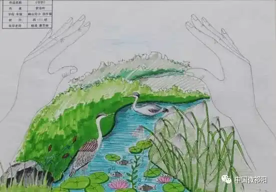 祁阳县中小学生湿地走进校园征文绘画手抄报大赛获奖公示