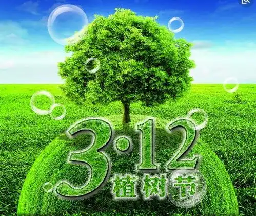 3月12日学生午餐