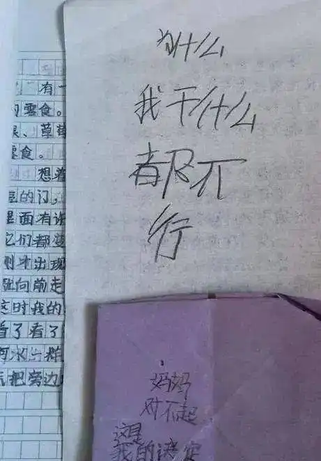 北大学子弑母,高中女生用丝带勒死母亲捧出全部真心的妈妈,或许真的错了