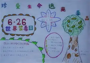 珍爱生命手抄报生命最美的诠释