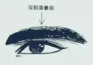 温州面相大师李公勤谈面相田宅宫断家庭运势