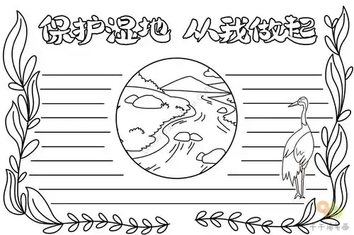 保护湿地从我做起手抄报