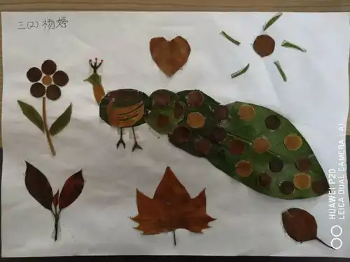我和秋天有个约会文亮小学三年级开展一叶知秋社会实践活动