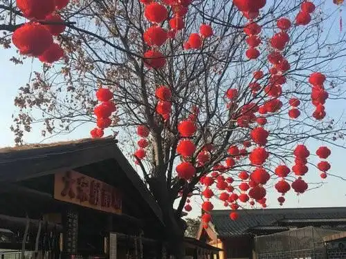 大红灯笼高高挂你要的年味就在清明上河园