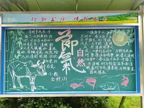 第二期行知长廊黑板报作品展示