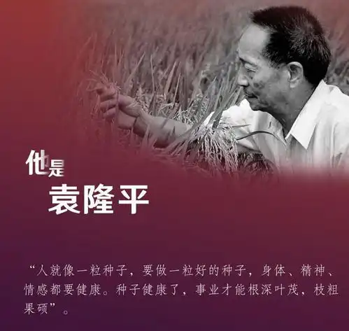 新华全媒丨因为他们,我们走在世界前列