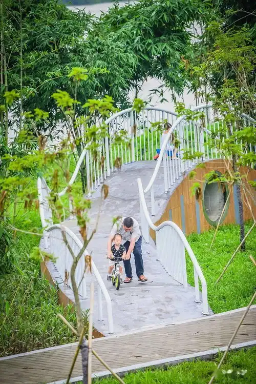 均安南沙岛还藏着个湿地公园免费又有趣,我猜你还不知道