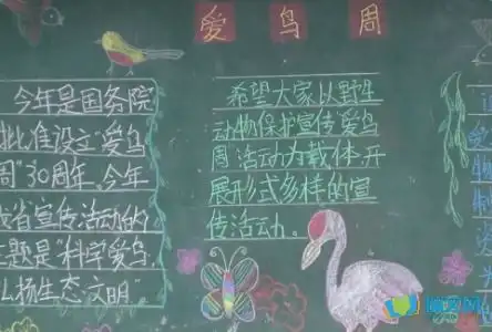 小鸟黑板报的图片大全