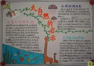 大自然的启示手抄报版面设计图
