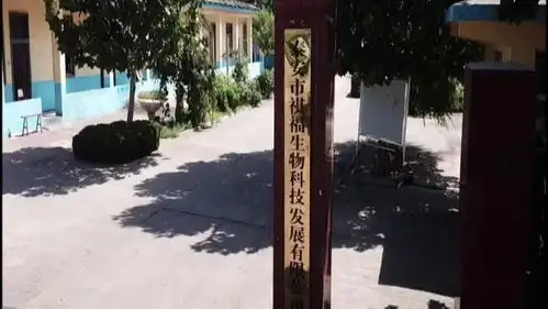 蒋元伟用青春汗水浇灌绿色农业梦想