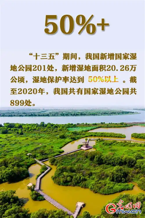 世界环境日丨人与自然和谐共生数据见证中国力量