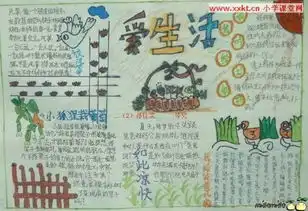 爱生活的手抄报内容