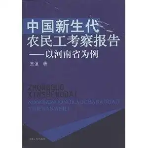 中国新生代农民工考察报告以河南省为例