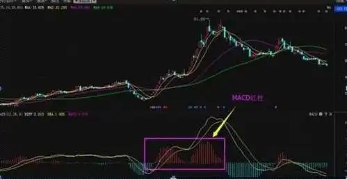 第一次有人把macd运用得出神入化,我整整读了10遍,太精辟透彻了