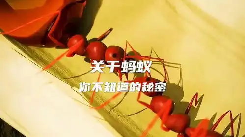 关于蚂蚁你不知道的小秘密涨知识科普一下科普知识自然