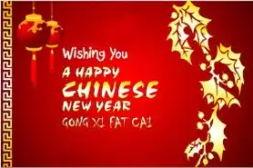 wfdb主席新年祝福