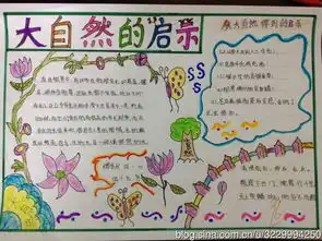 走进大自然手抄报图片