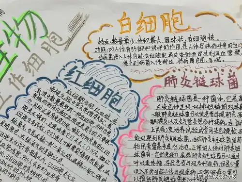 连暑假作业都是量身定制,这样的学校,对学生是真爱