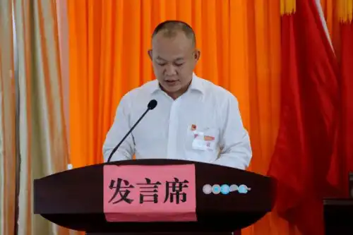 中国共产党柳州市柳江区成团镇第二次党员代表大会顺利召开