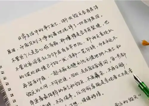 高中女生饺子字体火了,字形饱满像元宝,让老师眼前一亮