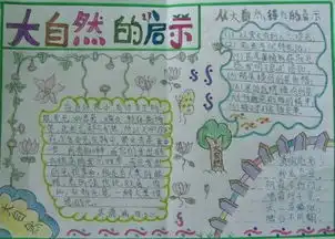 大自然的启示手抄报
